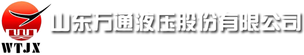 ShanDong Wantong